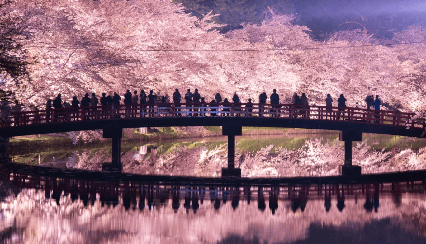 青森賞櫻｜1. 弘前公園（弘前城）